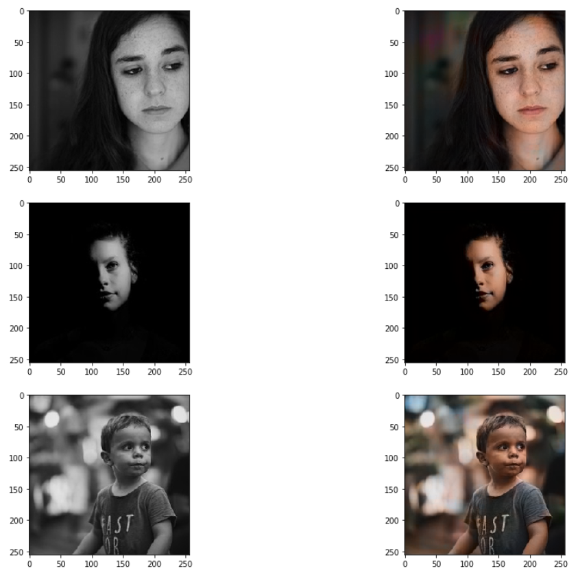 Auto-Colorization Result 1