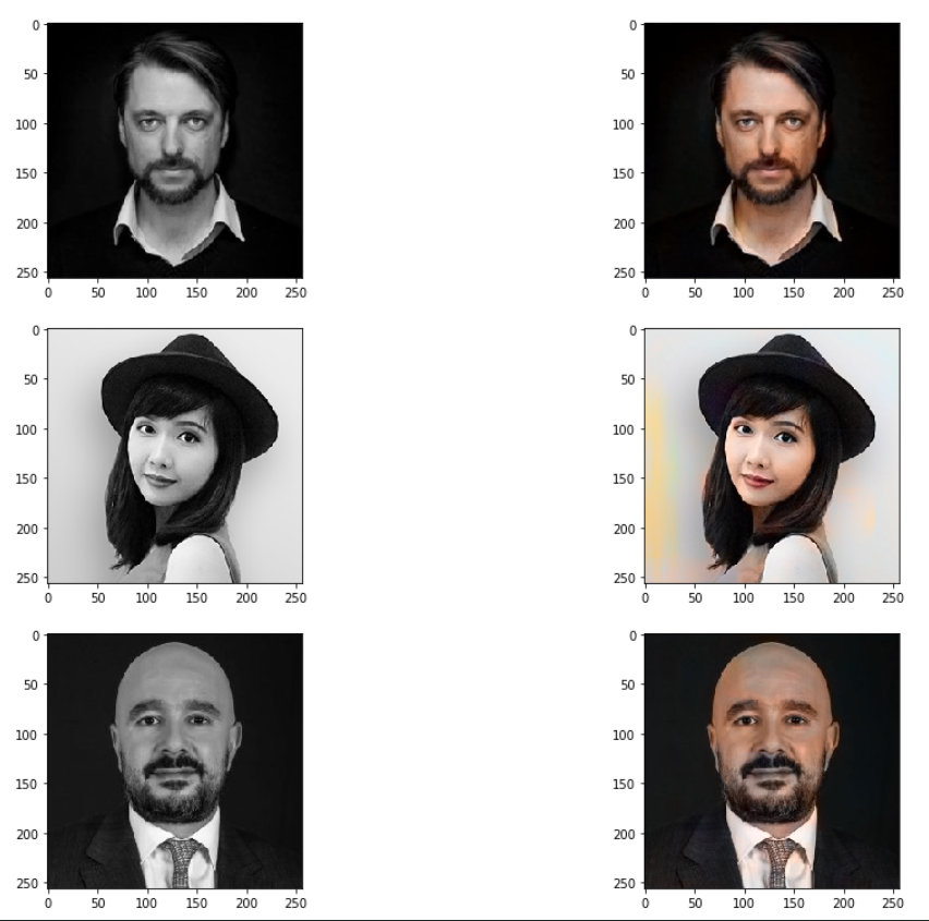 Auto-Colorization Result 1